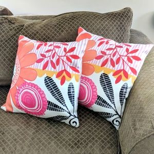 2 Pier1 imports pillows